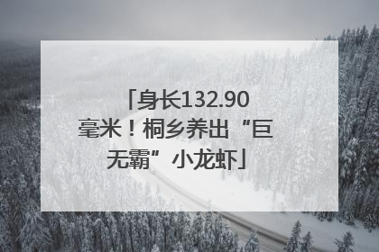 身长132.90毫米！桐乡养出“巨无霸”小龙虾